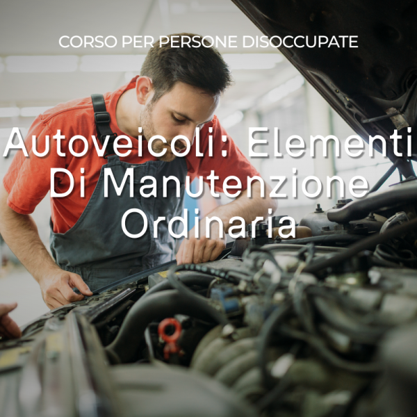 Autoveicoli Elementi Di Manutenzione Ordinaria