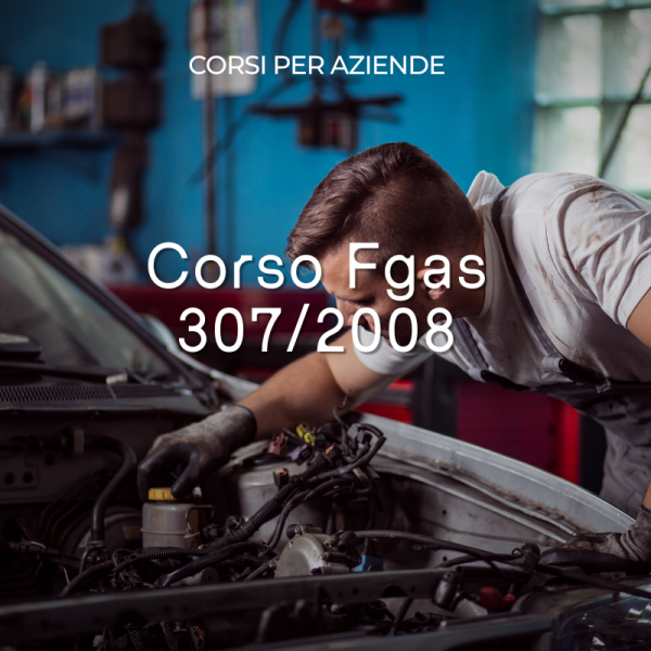 Corso Fgas 307_2008
