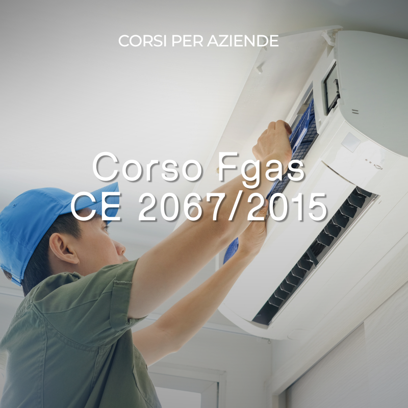 Corso Fgas CE 2067_2015