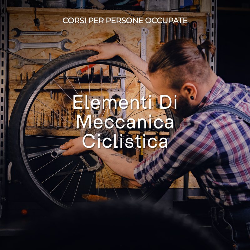 Elementi Di Meccanica Ciclistica