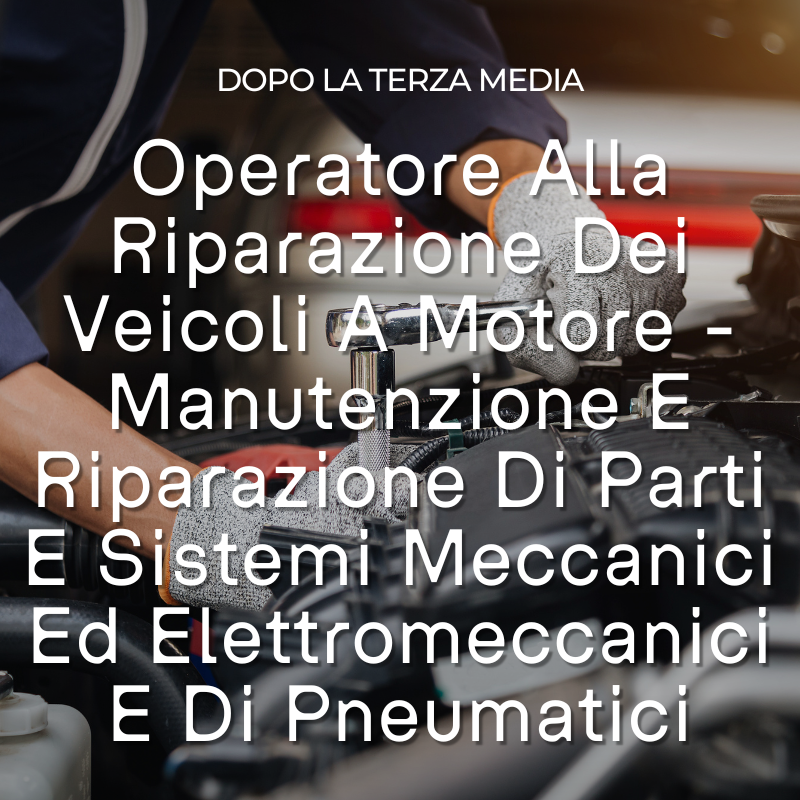 Operatore Ai Servizi Di Vendita (2)