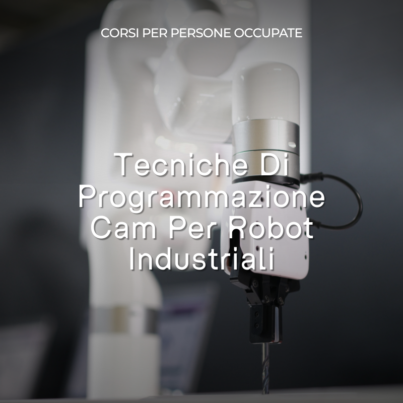 Tecniche Di Programmazione Cam Per Robot Industriali